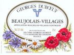 Georges Duboeuf - Beaujolais Villages 2020